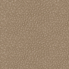 61004/46/58/62/77 : 61004S4