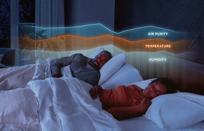Bases Tempur-Ergo® Prosmart™ Base