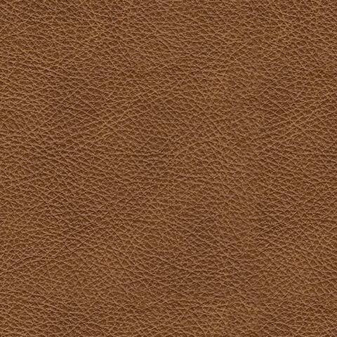 30901/46/64/65 : 30901S2