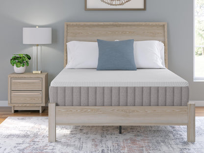 Terra Sleep Firm  Mattress