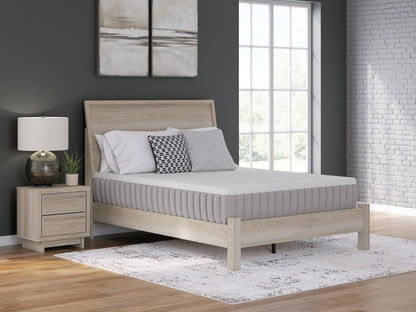 Terra Sleep Medium  Mattress