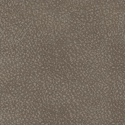 PC5300525