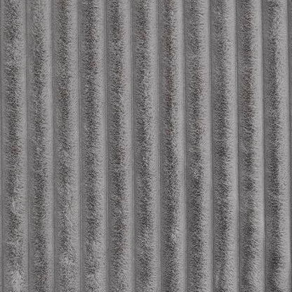 A1001081T