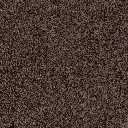 Crossplex PWR REC Sofa with ADJ Headrest
