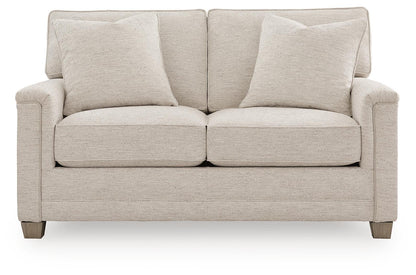 Rayne-Cove Loveseat